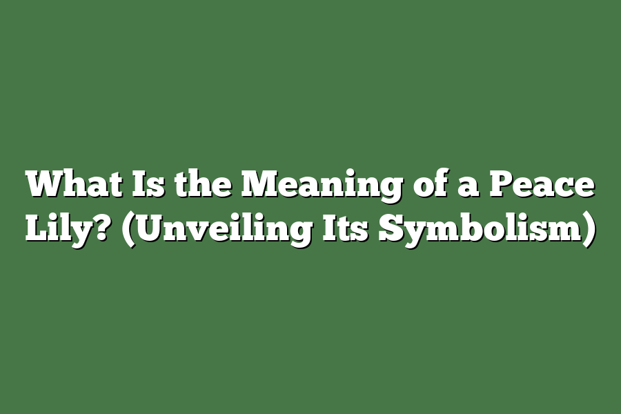 What Is the Meaning of a Peace Lily? (Unveiling Its Symbolism)