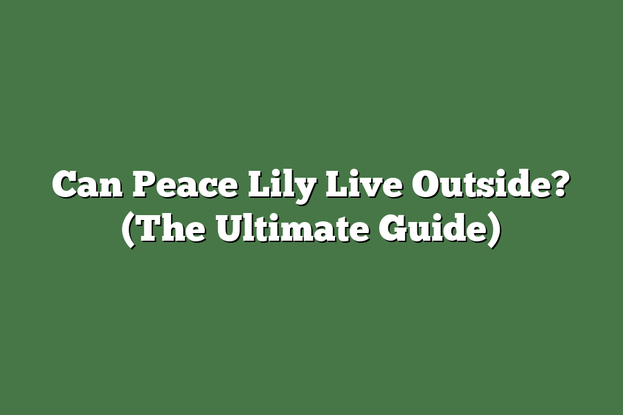 Can Peace Lily Live Outside? (The Ultimate Guide)