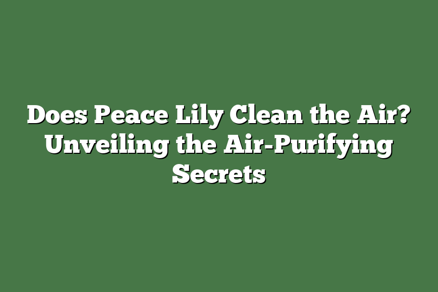 Does Peace Lily Clean the Air? Unveiling the Air-Purifying Secrets
