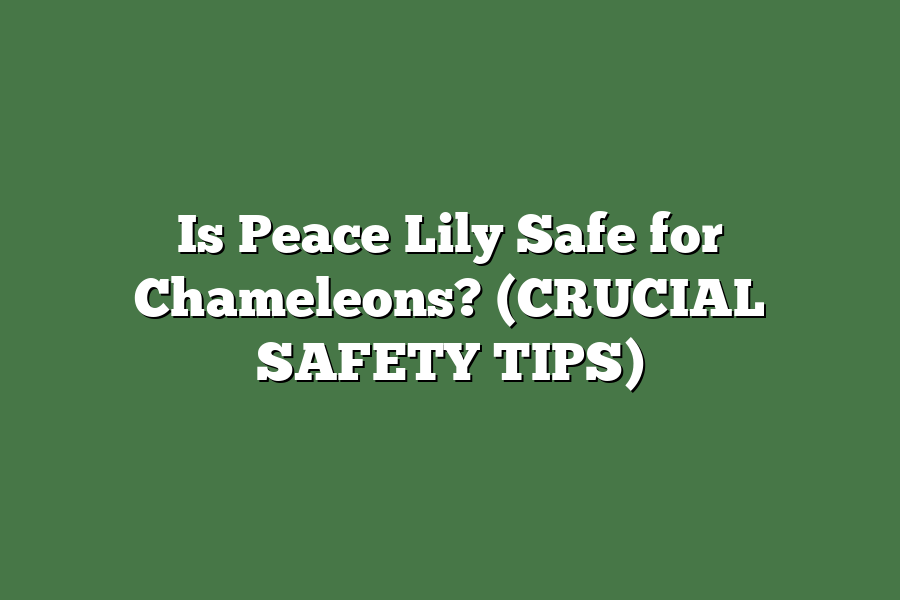 Is Peace Lily Safe for Chameleons? (CRUCIAL SAFETY TIPS)