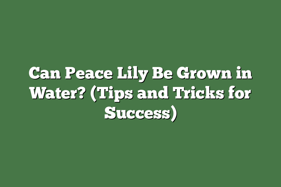 Can Peace Lily Be Grown in Water? (Tips and Tricks for Success)