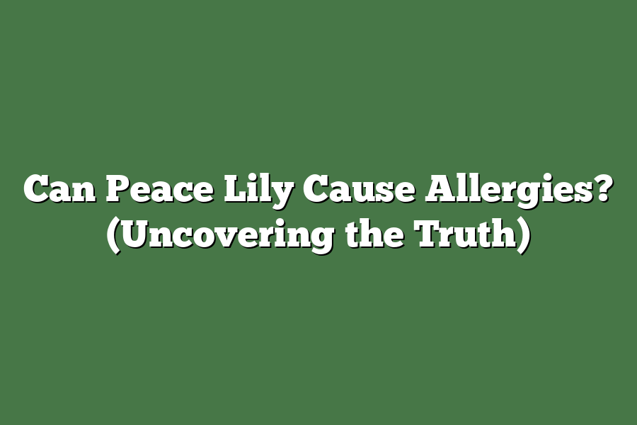 Can Peace Lily Cause Allergies? (Uncovering the Truth)