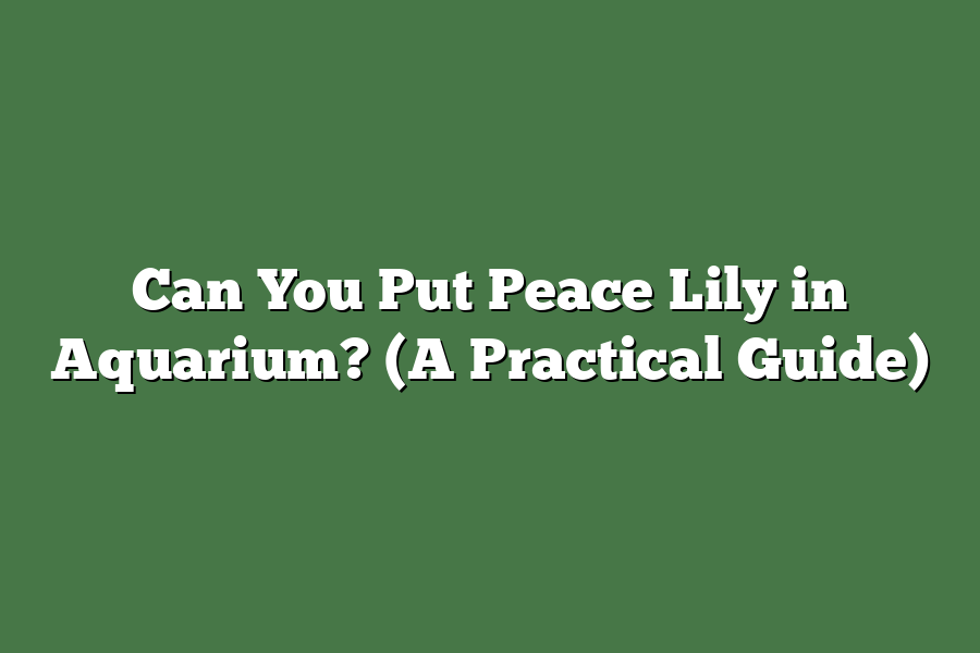 Can You Put Peace Lily in Aquarium? (A Practical Guide)
