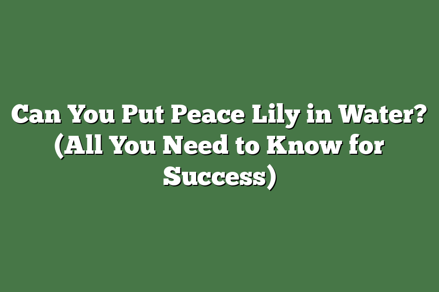 Can You Put Peace Lily in Water? (All You Need to Know for Success)