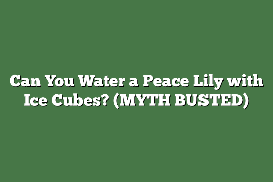 Can You Water a Peace Lily with Ice Cubes? (MYTH BUSTED)