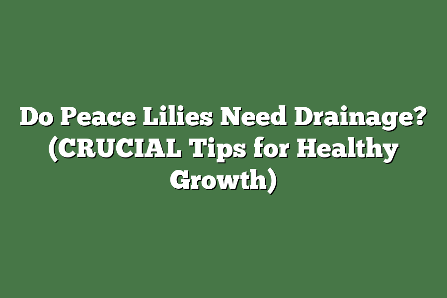 Do Peace Lilies Need Drainage? (CRUCIAL Tips for Healthy Growth)