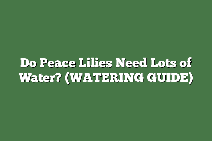 Do Peace Lilies Need Lots of Water? (WATERING GUIDE)