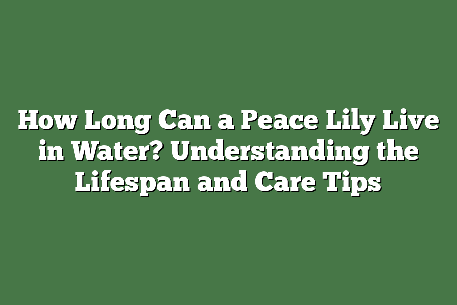 How Long Can a Peace Lily Live in Water? Understanding the Lifespan and Care Tips