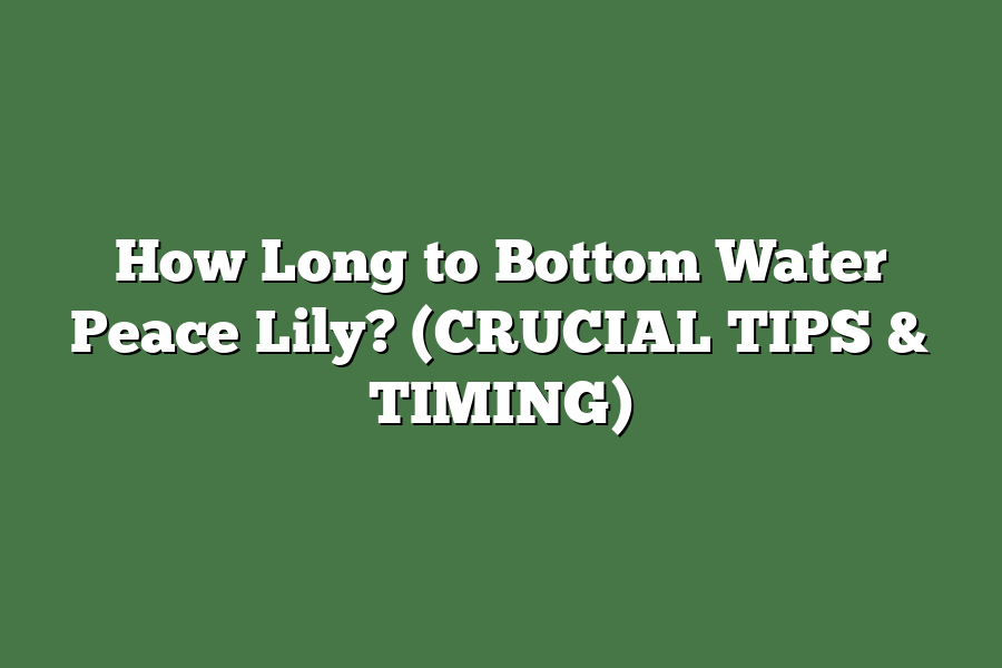 How Long to Bottom Water Peace Lily? (CRUCIAL TIPS & TIMING)