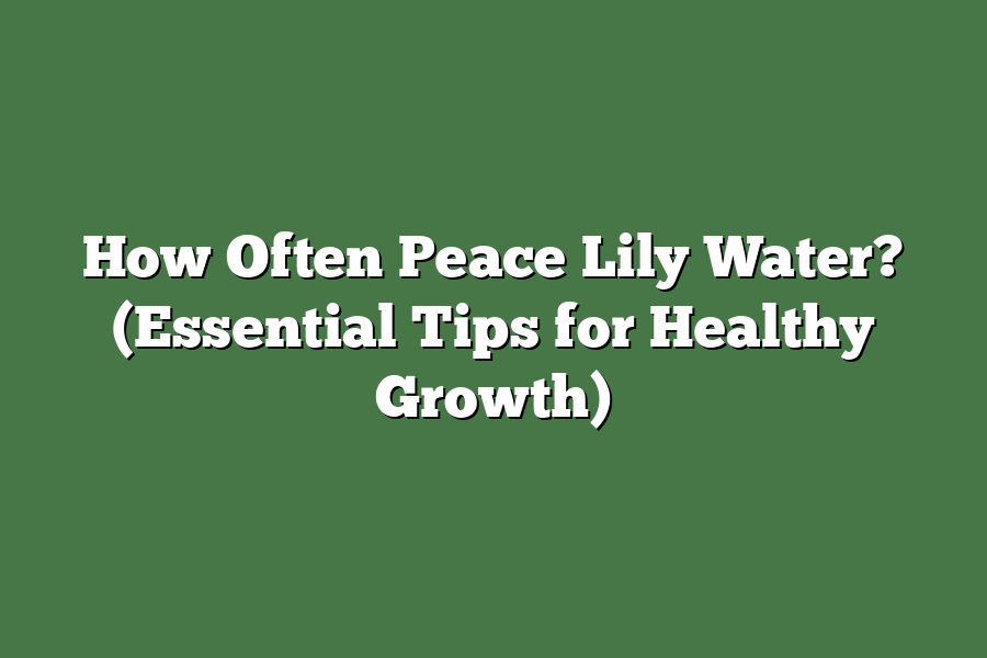 How Often Peace Lily Water? (Essential Tips for Healthy Growth)