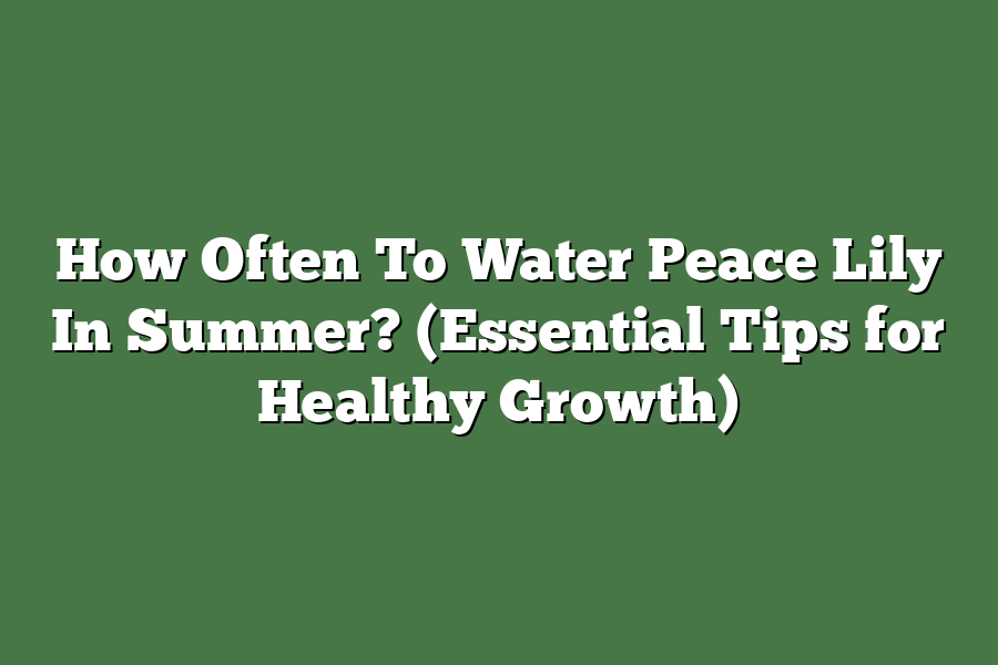 How Often To Water Peace Lily In Summer? (Essential Tips for Healthy Growth)