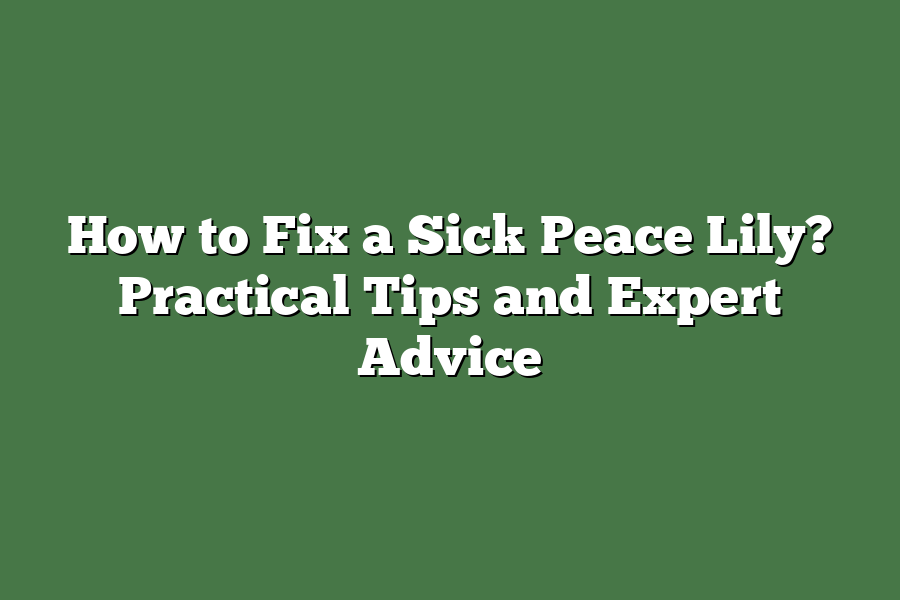 How to Fix a Sick Peace Lily? Practical Tips and Expert Advice