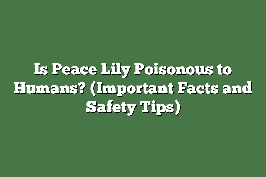 Is Peace Lily Poisonous to Humans? (Important Facts and Safety Tips)