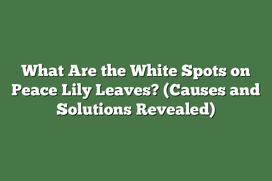 What Are the White Spots on Peace Lily Leaves? (Causes and Solutions Revealed)