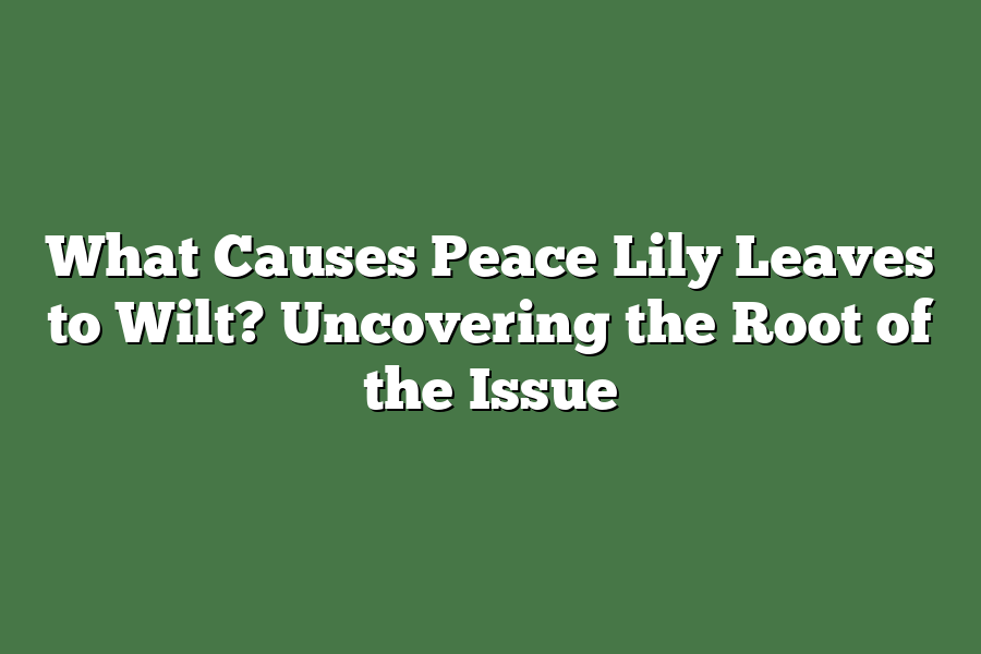 What Causes Peace Lily Leaves to Wilt? Uncovering the Root of the Issue