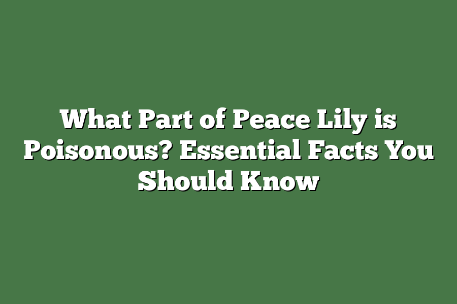 What Part of Peace Lily is Poisonous? Essential Facts You Should Know