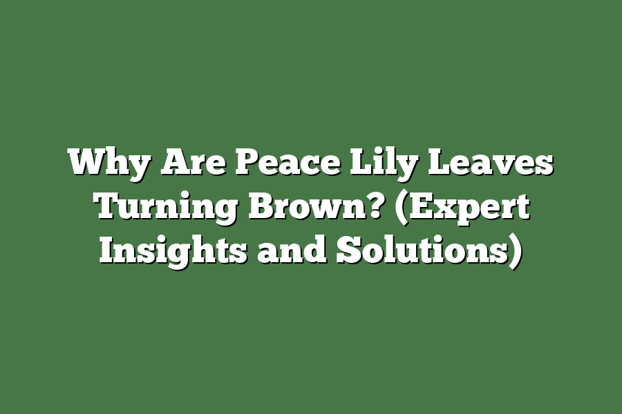 Why Are Peace Lily Leaves Turning Brown? (Expert Insights and Solutions)
