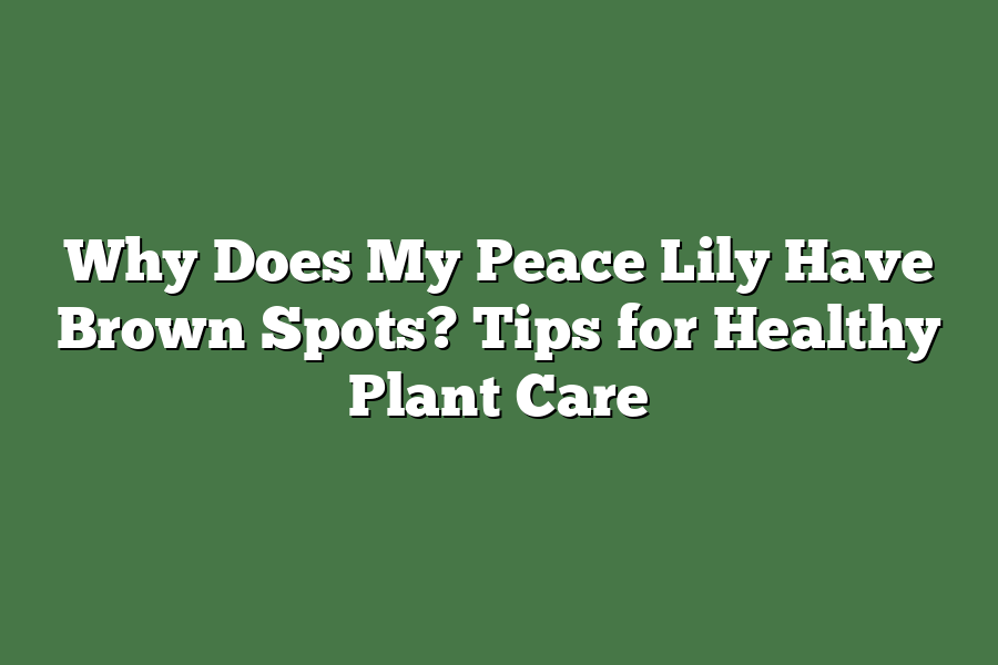 Why Does My Peace Lily Have Brown Spots? Tips for Healthy Plant Care